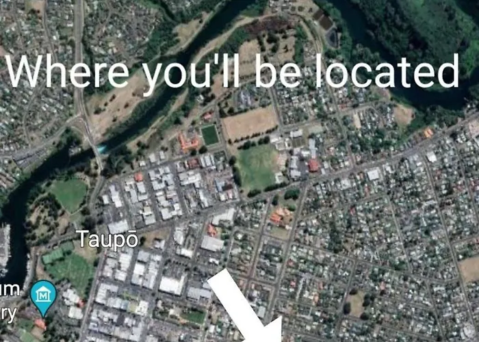 The Tuis Nest